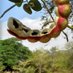 Senoras calientes de Facebook solo mexico (@migueopez) Twitter profile photo