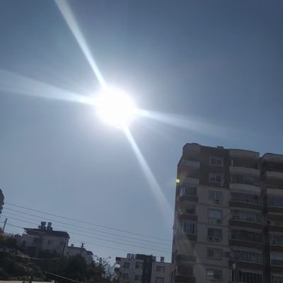 BVayens's profile picture. Sports Dad