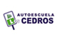 AutoesLosCedros's profile picture. Autoescuelas en Jerez de la Frontera. Formamos buenos conductores, promovemos, entre todos, el respeto por las normas y la seguridad vial.