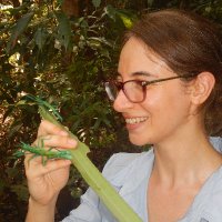 Daniela Wilner moving to bluesky (@danielawilner) 's Twitter Profile