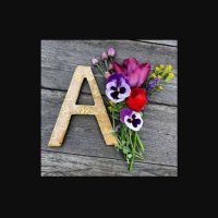 AK (@sourish46892260) 's Twitter Profile