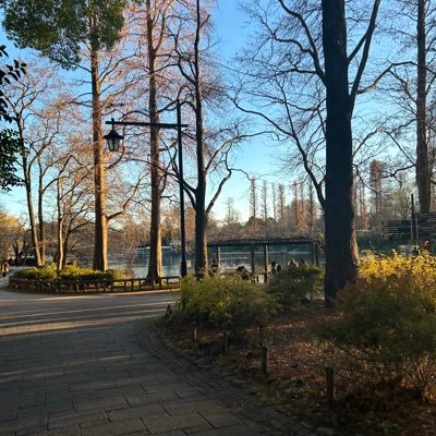 Ruri34729045's profile picture. 04