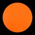 TRUE CAMELLIA 🟠 (@truecamellia) Twitter profile photo TRUE CAMELLIA 🟠 (@truecamellia) Twitter profile photo