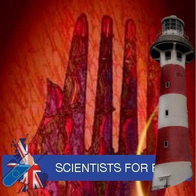 Nek82119156's profile picture. @5ireChain Testnet Thunder ⚡
Mantle⚙️