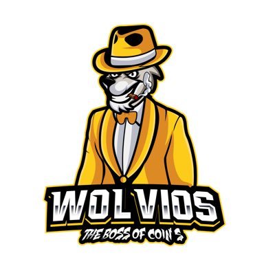 WolviosOfficial's profile picture. 