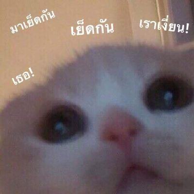 Refex34096136's profile picture. 