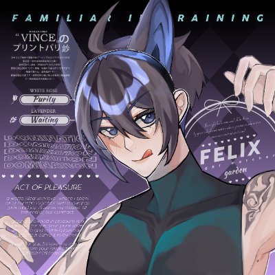FELXXXさんのプロフィール画像