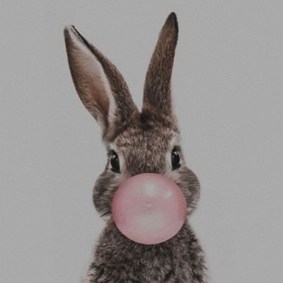 Camomile_love's profile picture. . . . برای این‌همه برای غیرتکراری....