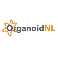 OrganoidNL(@OrganoidNL) 's Twitter Profile Photo