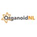 OrganoidNL (@organoidnl) Twitter profile photo OrganoidNL (@organoidnl) Twitter profile photo