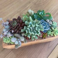 ciruru (@chie_ru_ru) Twitter profile photo