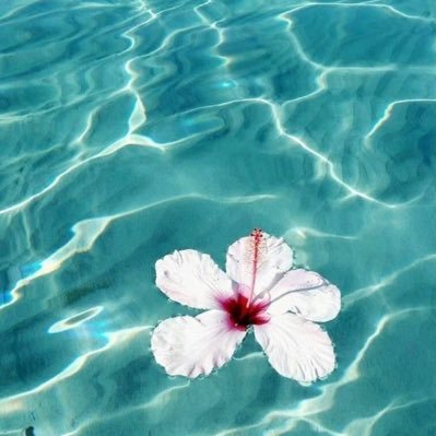 bhkmoglu's profile picture. 