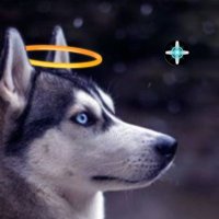 Evesโs Echoes (@eves_echoes) 's Twitter Profile Photo Evesโs Echoes (@eves_echoes) 's Twitter Profile Photo