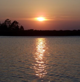 ElaineJarratt's profile picture. 