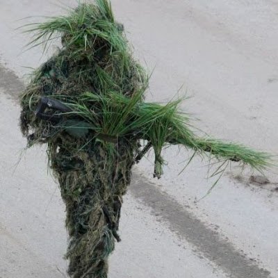 hjnf27288787's profile picture. LFG   $WOW  #WOWEarners