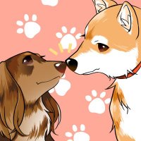 けんぼー(偏り) (@9t4yfcozz0thq4g) 's Twitter Profile Photo けんぼー(偏り) (@9t4yfcozz0thq4g) 's Twitter Profile Photo