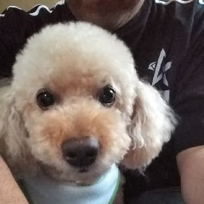 LHnz6p4cqVLpViS's profile picture. モーニング娘。OGの
✨田中れいな✨神推しです😀
　趣味は映画鑑賞🤫