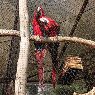 SE見習い→別業種15年→SES。
スヤスヤ教信者。知らないことは知らない、わからないことはわからないと言える勇気。正義よりも大事なことがある。いつかわかる日が来る。