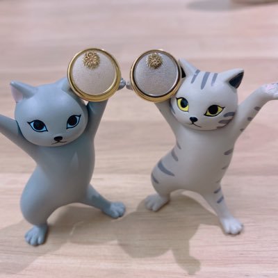 aiko0830's profile picture. 2022.6月税理士登録と同時に独立開業しました💮2025.3税理士法人設立しました💮