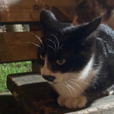 tellmehow22's profile picture. BIG Lamp fan