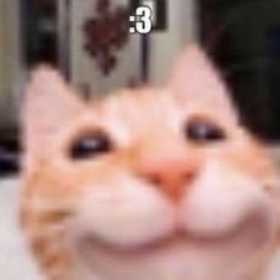 GeorgeX09568894's profile picture. 