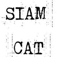 Siam Cat(@siamcatmusic) 's Twitter Profile Photo