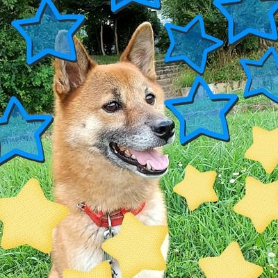 pihla_miki's profile picture. Mother, wife, job trainer for challenged people. Love my family, dogs, and piano🎹. My Youtube channel ⬇️. I stand with Ukraine.🇯🇵🌸🇺🇦 Slava Ukraini ‼️