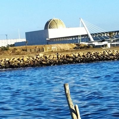 mMCtyLgS4UEbtmG's profile picture. 