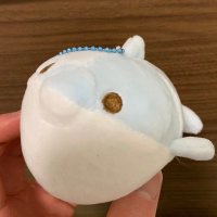 ( •́ .̫ •̀ ) (@mtoshi23) 's Twitter Profile Photo