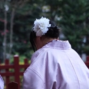 meinjapan01's profile picture. life is not Only food 🍃