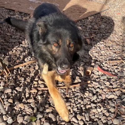 JuanGut33163831's profile picture. 