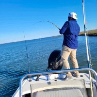 Shane Segovia (@shane_segovia) 's Twitter Profile