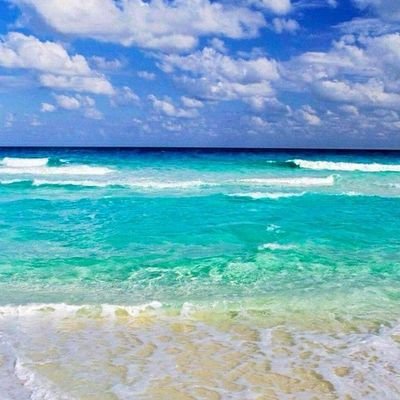 Chancha71328896's profile picture. 