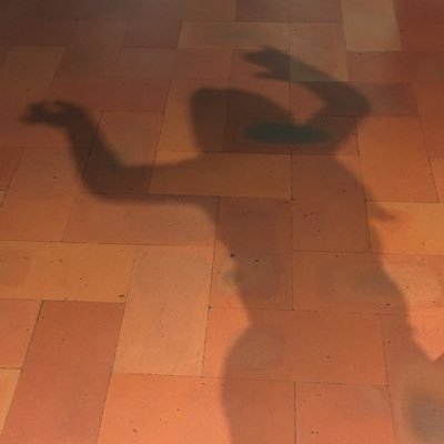 ANotari's profile picture. Manager of my organic olive farm and retreat center. Beekeeper. #wearenature