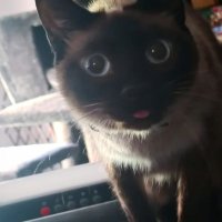 🐸 (@crinanee) 's Twitter Profile