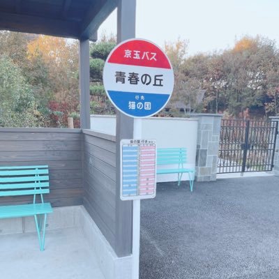 まみさんのプロフィール画像