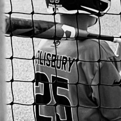 KyleSalisbury8's profile picture. Oscar A. Carlson High School | Class of 2026 | SS/CF/RHP | 6’2 160 | Phone number: 734-318-0568