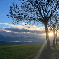 Dilek T. (@dilek_kpercin) 's Twitter Profile