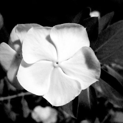 unnatix's profile picture. 