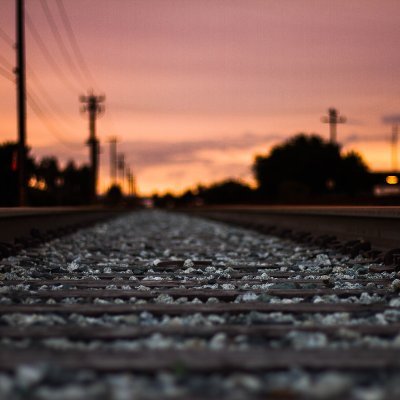 alphaprotocol82's profile picture. alpha i s g o h i g h e r .