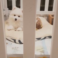 ๐ $MON Toby (@no1ronglua) 's Twitter Profile