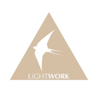 LiGHTWORK is your solution to physical well-being.
Have any questions? Do not hesitate to contact me via DM or email
seneye@lightwork.gg
