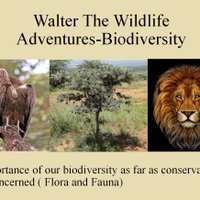 Walter The Wildlife Adventures(@ceistro) 's Twitter Profile Photo
