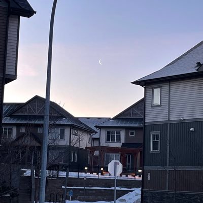 teniiguess's profile picture. 