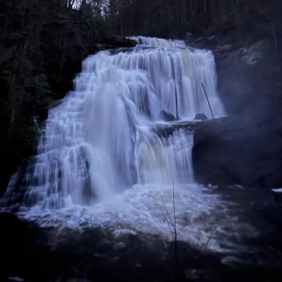 hippiebitch222's profile picture. 