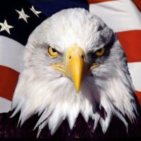 DeepWebSlinger (@deepwebslinger) 's Twitter Profile Photo DeepWebSlinger (@deepwebslinger) 's Twitter Profile Photo