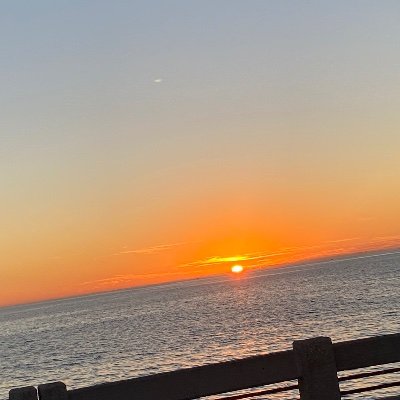 dickdownking's profile picture. 21 an New to this content creator thing but cum 😏 along with me