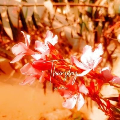 anilkarrm8822's profile picture. 