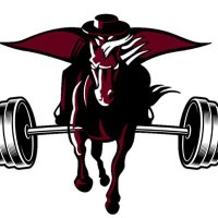 Northbrook Powerlifting(@NorthbrookLifts) 's Twitter Profile Photo