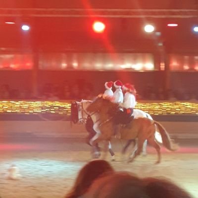 Marcel70844426's profile picture. 